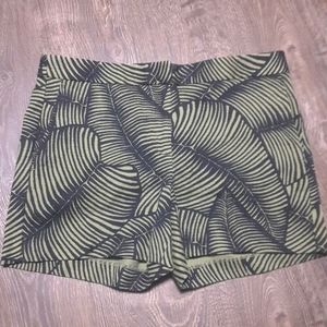 Ann Taylor shorts